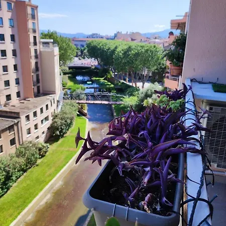 Le Balcon De La Basse Centre De * Perpignan